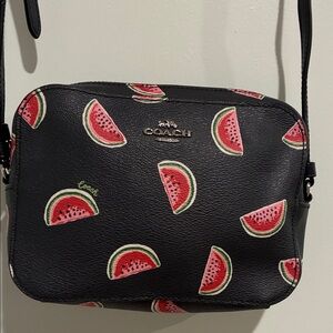 Coach Mini Camera Bag with Watermelon Print
